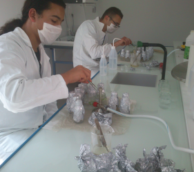 Labo in vitro, étudiants en pratique