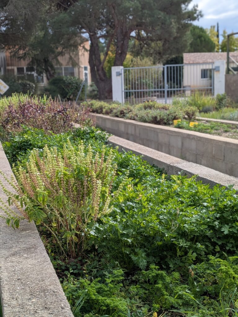 Parcelle horticulture